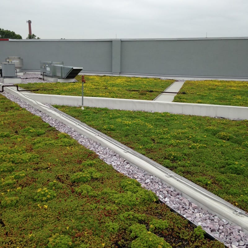 Image showcasing How to Make Your Home Renovation Green - Apartment Therapy