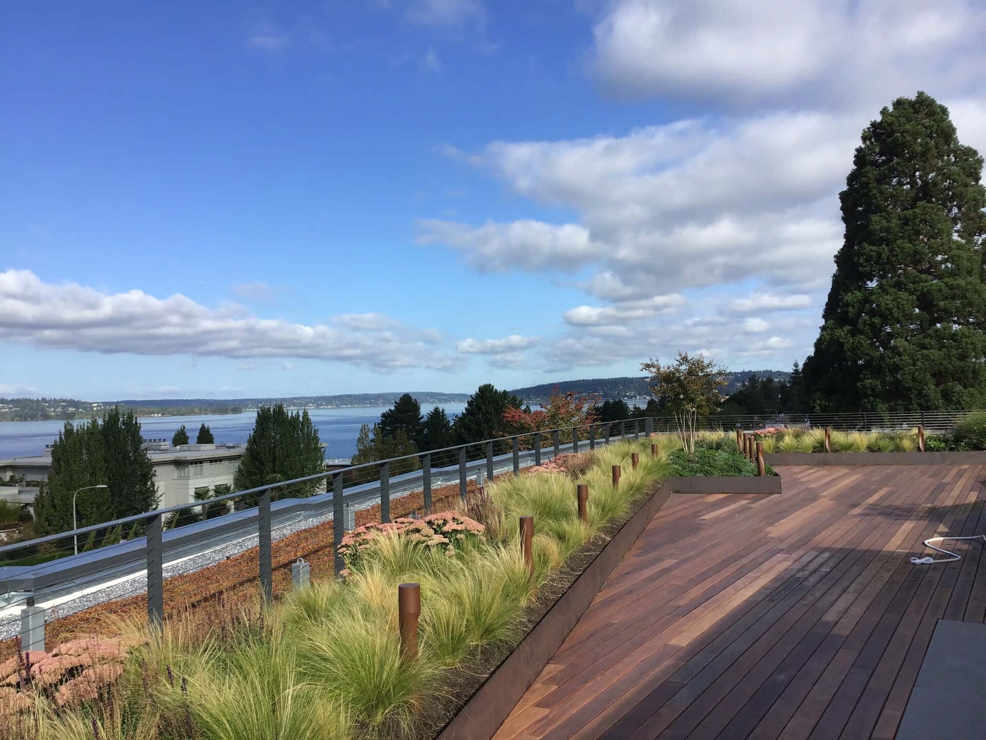 Picture of The Green Revolution Spreading Across Our Rooftops